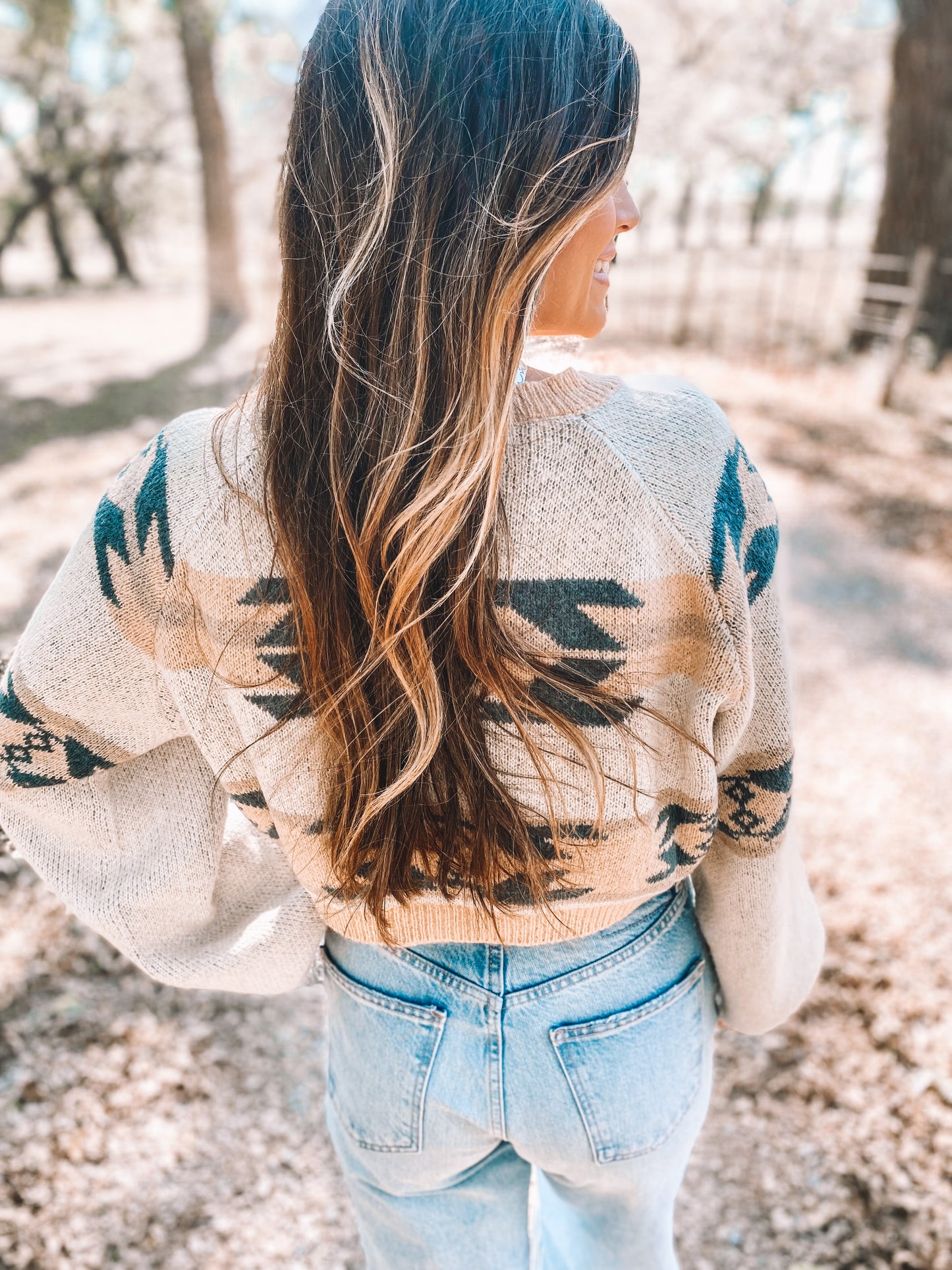 Aztec Crop Sweater